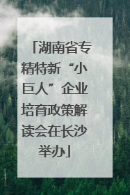 湖南省专精特新“小巨人”企业培育政策解读会在长沙举办