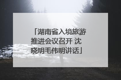 湖南省入境旅游推进会议召开 沈晓明毛伟明讲话