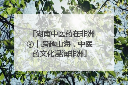 湖南中医药在非洲③｜跨越山海，中医药文化浸润非洲