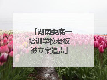 湖南娄底一培训学校老板被立案追责