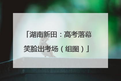 湖南新田：高考落幕 笑脸出考场（组图）