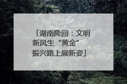 湖南隆回：文明新风生“黄金” 振兴路上展新姿