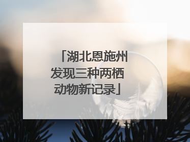 湖北恩施州发现三种两栖动物新记录