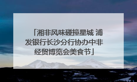 湘非风味碰撞星城 浦发银行长沙分行协办中非经贸博览会美食节