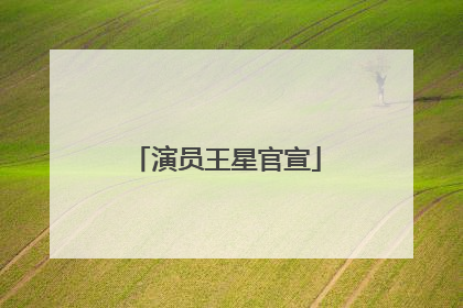 演员王星官宣