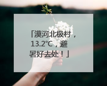 漠河北极村，13.2℃，避暑好去处！