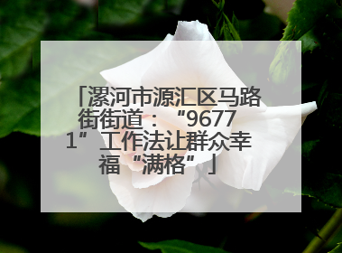 漯河市源汇区马路街街道：“96771”工作法让群众幸福“满格”