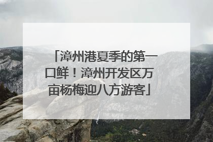 漳州港夏季的第一口鲜！漳州开发区万亩杨梅迎八方游客