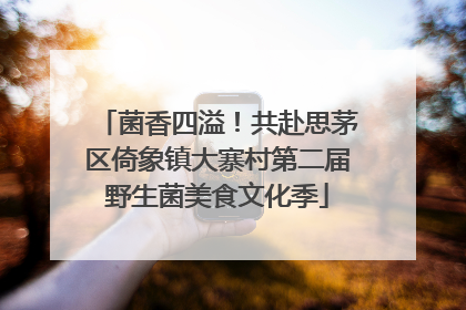 菌香四溢！共赴思茅区倚象镇大寨村第二届野生菌美食文化季