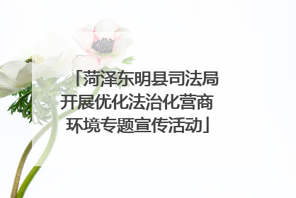 菏泽东明县司法局开展优化法治化营商环境专题宣传活动