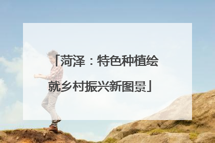 菏泽：特色种植绘就乡村振兴新图景