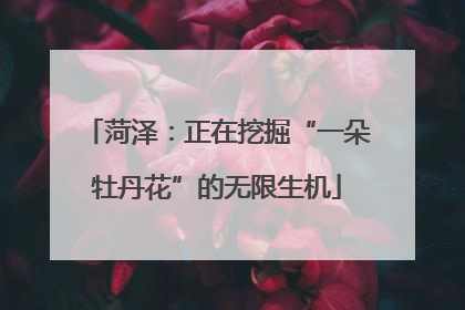 菏泽：正在挖掘“一朵牡丹花”的无限生机