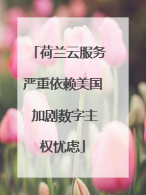 荷兰云服务严重依赖美国 加剧数字主权忧虑