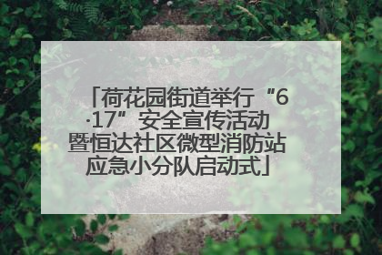 荷花园街道举行“6·17”安全宣传活动暨恒达社区微型消防站应急小分队启动式