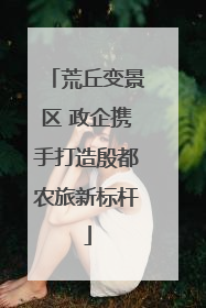 荒丘变景区 政企携手打造殷都农旅新标杆