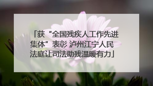 获“全国残疾人工作先进集体”表彰 泸州江宁人民法庭让司法助残温暖有力