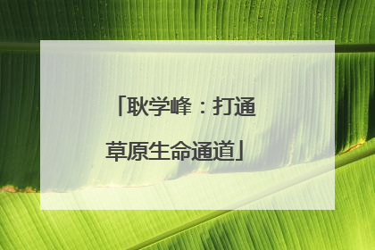 耿学峰：打通草原生命通道