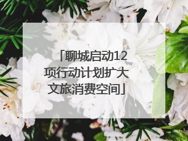 聊城启动12项行动计划扩大文旅消费空间
