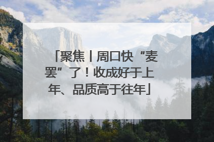 聚焦丨周口快“麦罢”了！收成好于上年、品质高于往年