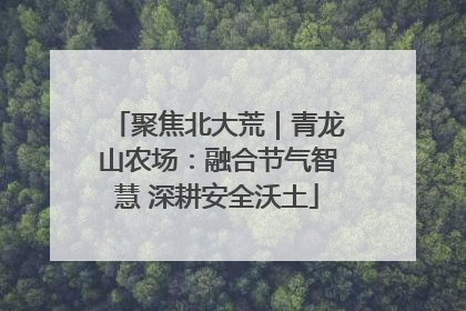 聚焦北大荒｜青龙山农场：融合节气智慧 深耕安全沃土