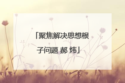 聚焦解决思想根子问题 郝 炜