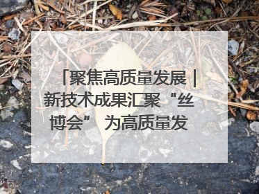 聚焦高质量发展｜新技术成果汇聚“丝博会” 为高质量发展注入新动能