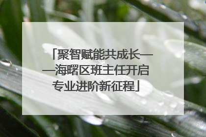 聚智赋能共成长——海曙区班主任开启专业进阶新征程