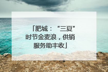 肥城：“三夏”时节金麦浪，供销服务助丰收