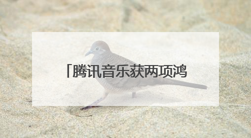 腾讯音乐获两项鸿蒙座舱大奖，携造车载音娱新体验