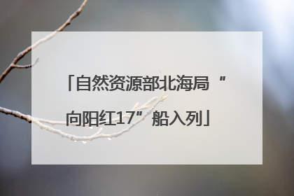 自然资源部北海局“向阳红17”船入列