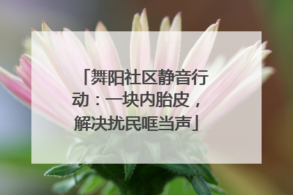 舞阳社区静音行动：一块内胎皮，解决扰民哐当声