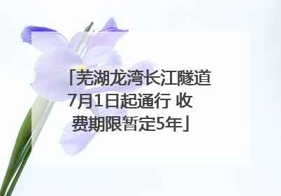 芜湖龙湾长江隧道7月1日起通行 收费期限暂定5年