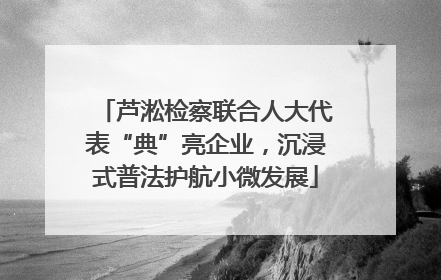 芦淞检察联合人大代表“典”亮企业，沉浸式普法护航小微发展
