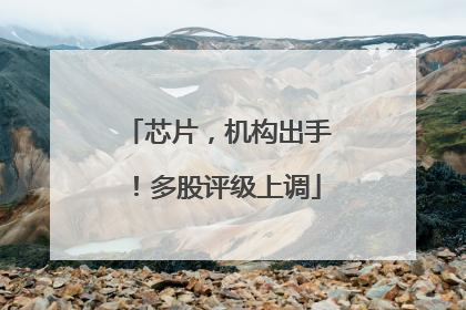 芯片，机构出手！多股评级上调