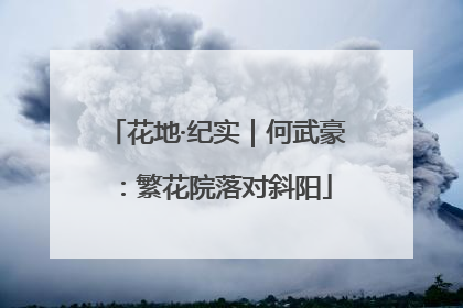 花地·纪实｜何武豪：繁花院落对斜阳