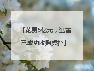 花费5亿元，迅雷已成功收购虎扑