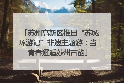苏州高新区推出“苏城环游记”非遗主题游：当青春邂逅苏州古韵