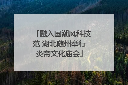 融入国潮风科技范 湖北随州举行炎帝文化庙会