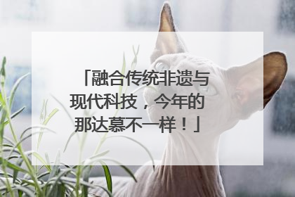 融合传统非遗与现代科技，今年的那达慕不一样！