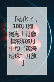 萌化了，100只狗狗海上肖像摄影展6月中旬“黄海明珠”开放