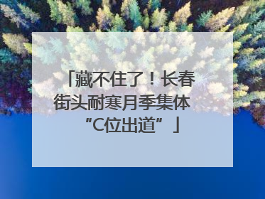 藏不住了！长春街头耐寒月季集体“C位出道”