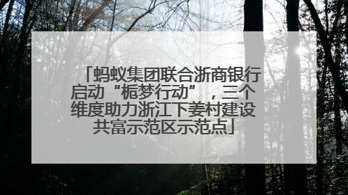 蚂蚁集团联合浙商银行启动“栀梦行动”，三个维度助力浙江下姜村建设共富示范区示范点