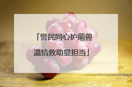 警民同心护萌兽 温情救助显担当