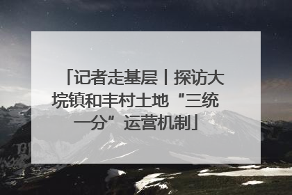 记者走基层丨探访大垸镇和丰村土地“三统一分”运营机制