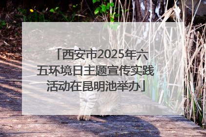 西安市2025年六五环境日主题宣传实践活动在昆明池举办