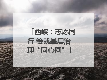 西峡：志愿同行 绘就基层治理“同心圆”