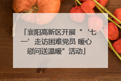 襄阳高新区开展“‘七一’走访困难党员 暖心慰问送温暖”活动