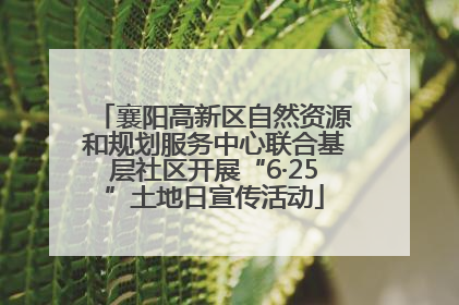 襄阳高新区自然资源和规划服务中心联合基层社区开展“6·25”土地日宣传活动