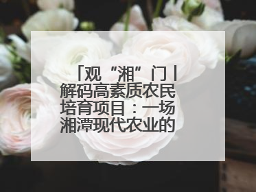 观“湘”门丨解码高素质农民培育项目：一场湘潭现代农业的“思维升级”