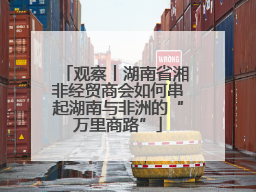 观察丨湖南省湘非经贸商会如何串起湖南与非洲的“万里商路”